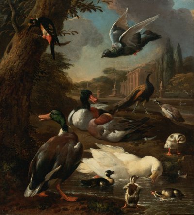 Paon, pigeon, canards et autres oiseaux dans un jardin - Melchior de Hondecoeter